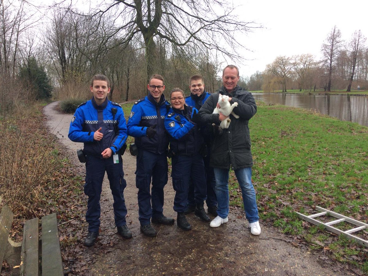 Na melding: #katindeboom in #Ommoord hebben onze handhavers alles op alles gezet om zijn baas te #herenigen met zijn kat.