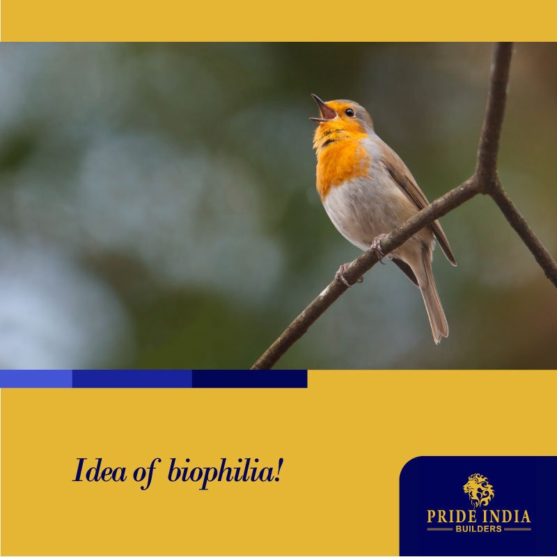 PrideIndia1's tweet photo. Chirping sound of birds, leaves rustling in the wind, you could feel the soothing effect it has on you without you having to close your eyes and imagine right? Come and experience the luxury of nature at Lake Town, Begumpet. #PrideIndia #LakeTown https://t.co/OjftdvXdWg