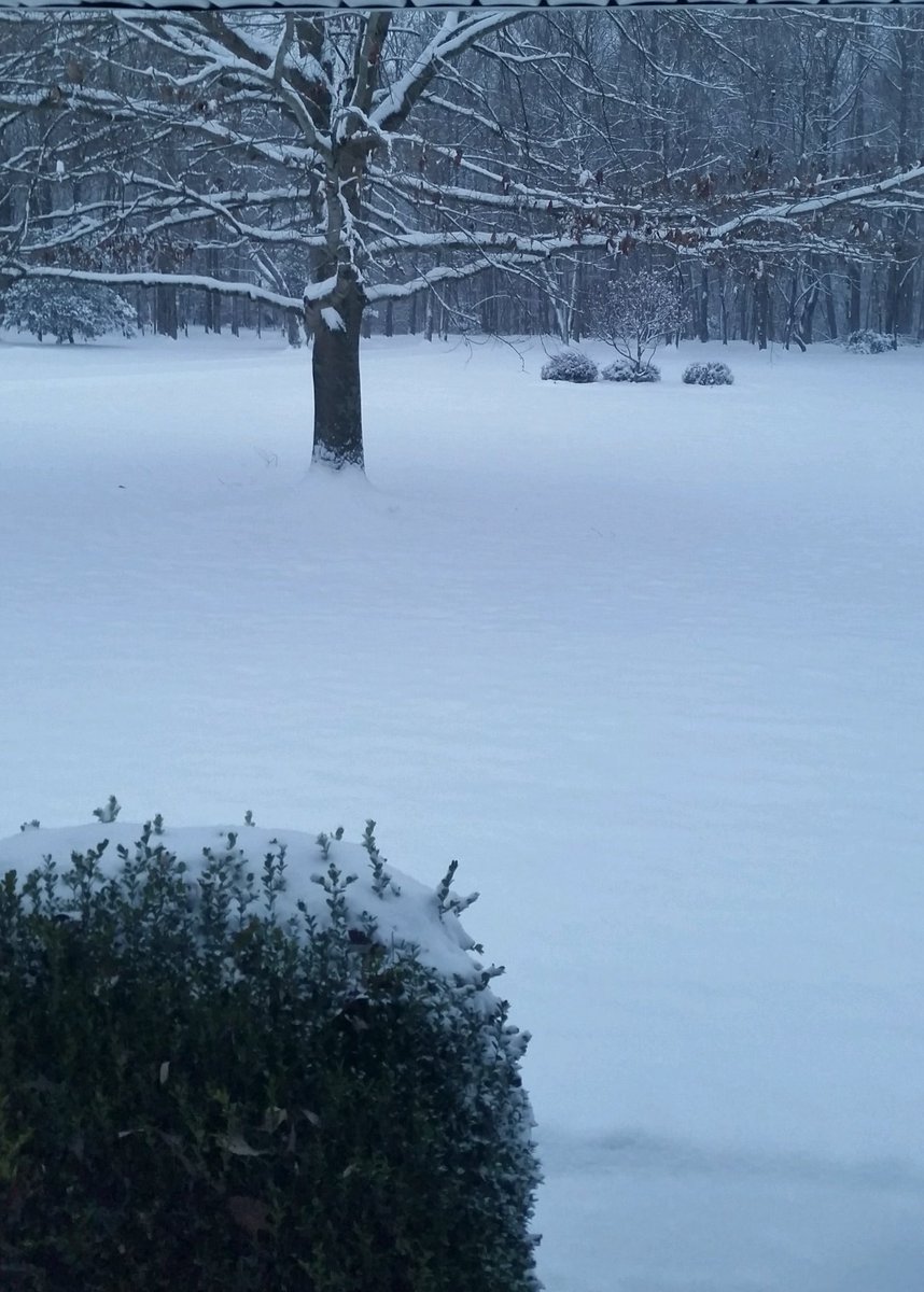 alanauglis's tweet photo. Oh come on how pretty is this? #thanksforthepicDad #MDsnow #snow #winterwonderland #untouchedsnow https://t.co/5UQ8tVN9c0