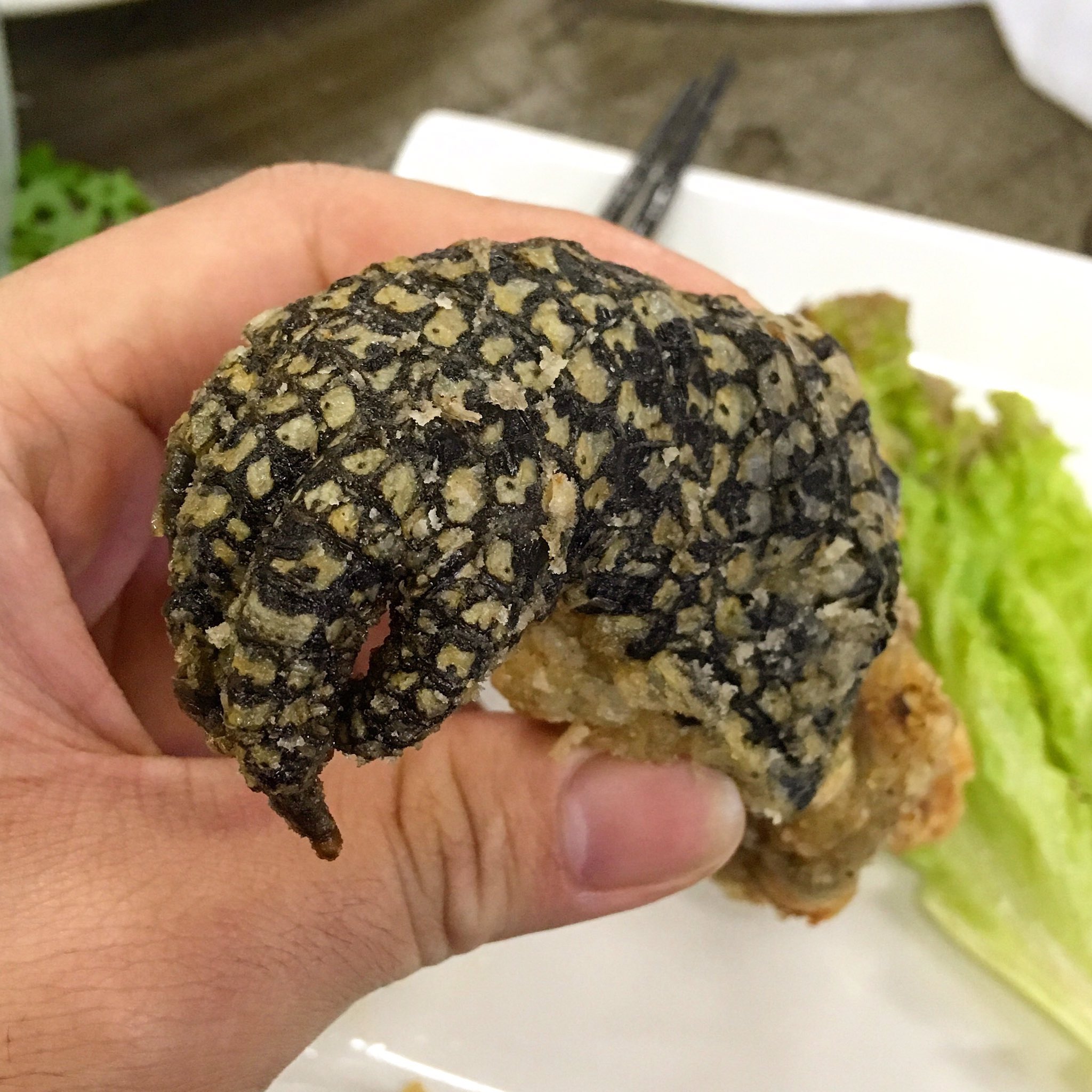 ガンボ 生物垢 今日は ウワサの爬虫類カフェ れぷはうす さんに遊びに行って来たのだ なんとこのお店では 生きたワニさんを見ながらワニ料理を楽しむことができるのである れぷはうす