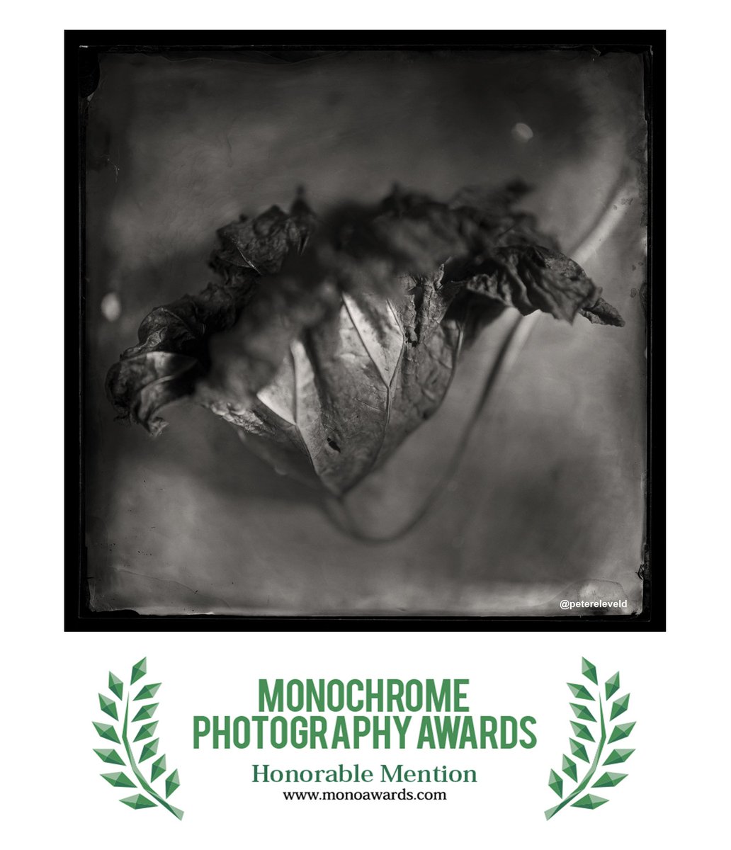 PeterEleveld's tweet photo. Very happy with 2 Honorable Mentions in the Monochrome Photography Awards 2018 Fine Art Section! #monoawards2018 #monochrome #wetplatecollodion #oldschool #collodion #wetplates #wetplatephotography #stillive #ambrotype #fineart #stilllive @tOldePostkOlst https://t.co/2IjCnGdTLe