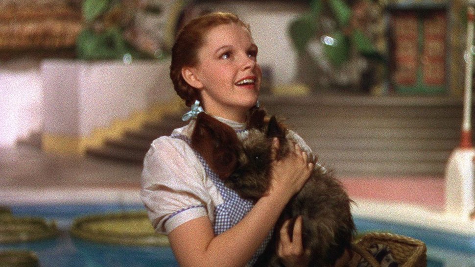 Toto's "Africa" as sung by over 50 movies and TV shows: http://bit.ly/2QQmoPv