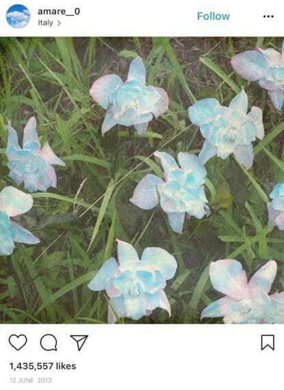 Sebelum lanjut maaf ada yang kelewat.Pada tanggal 12 Juni 2013, sebuah bunga Smeraldo yang didasari oleh legenda, ditemukan.12 Juni 2013 adalah tanggal di mana album debut BTS 2COOL4SKOOL dirilis.(ps. Dalam kenyataan bunga Smeraldo tidaklah ada)
