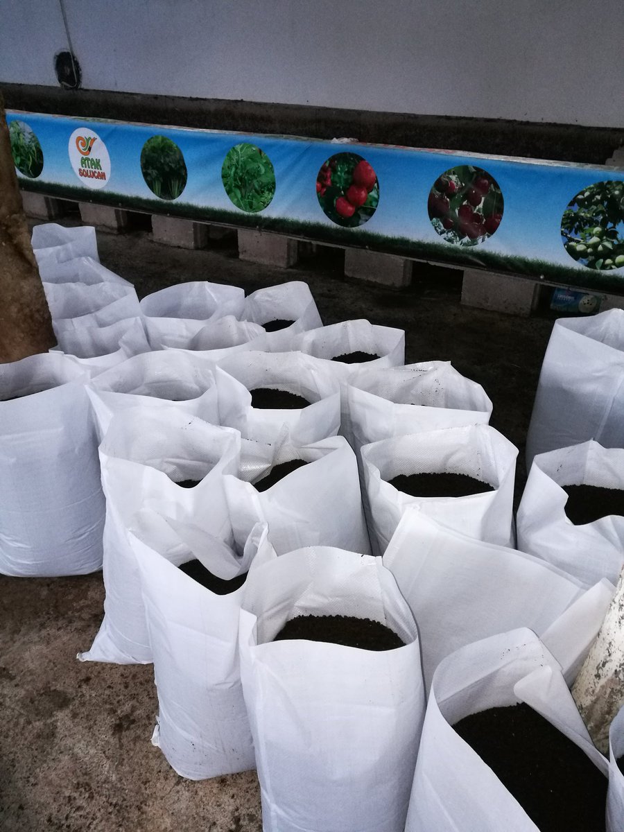 Atak solucan ailesi olarak gübre mevsimi için tüm gücümüzle çalışmaya devam ediyoruz.. #solucan #solucangübresi #ataksolucan #kırmızıkaliforniyasolucanı #kaliforniyasolucanı #organik #organic #worms #mama #kazan #kahramankazan #yenibaşlayanlar #organiktarım