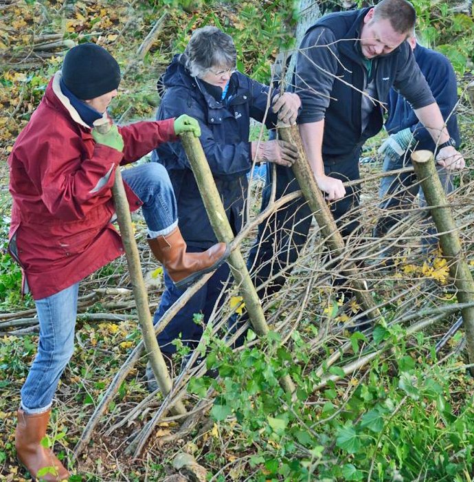 Good Day Out tweet media