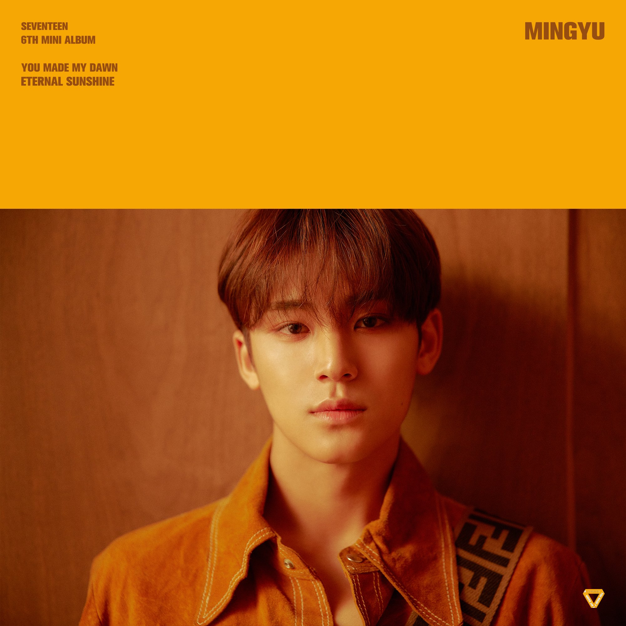 세븐틴(SEVENTEEN) on X: 