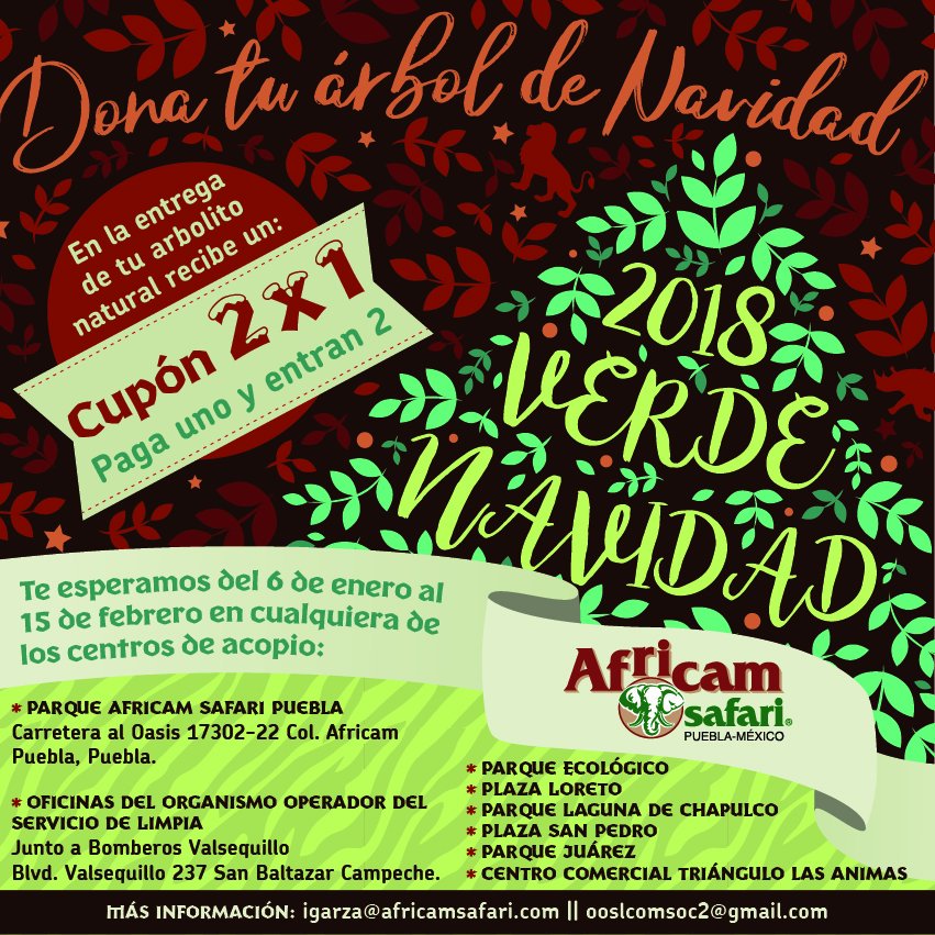 turisteandopueb's tweet image. ¿Te gustaría ir Africam Safari, gratis?

Es muy fácil, Recicla tu Arbolito de navidad a los puntos de recolección y obtén un cupón 2x1,
