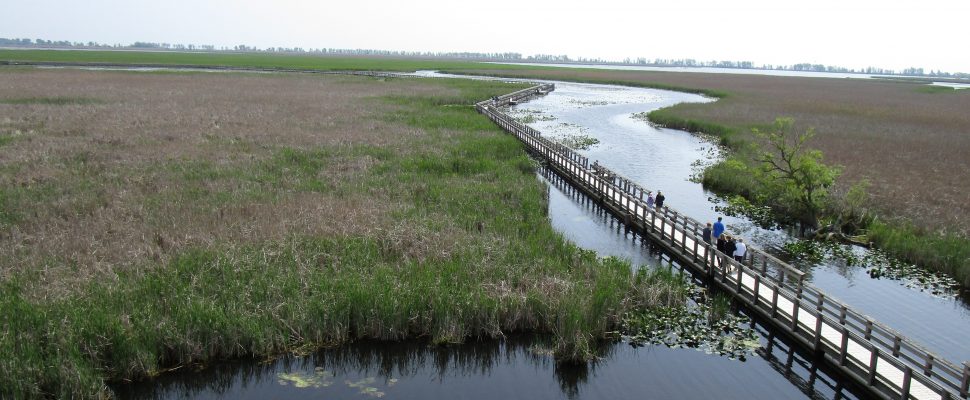 Point Pelee National Park is closed for two weeks to reduce its deer population #ckont blackburnnews.com/windsor/windso… https://t.co/rR2qGrvdsM