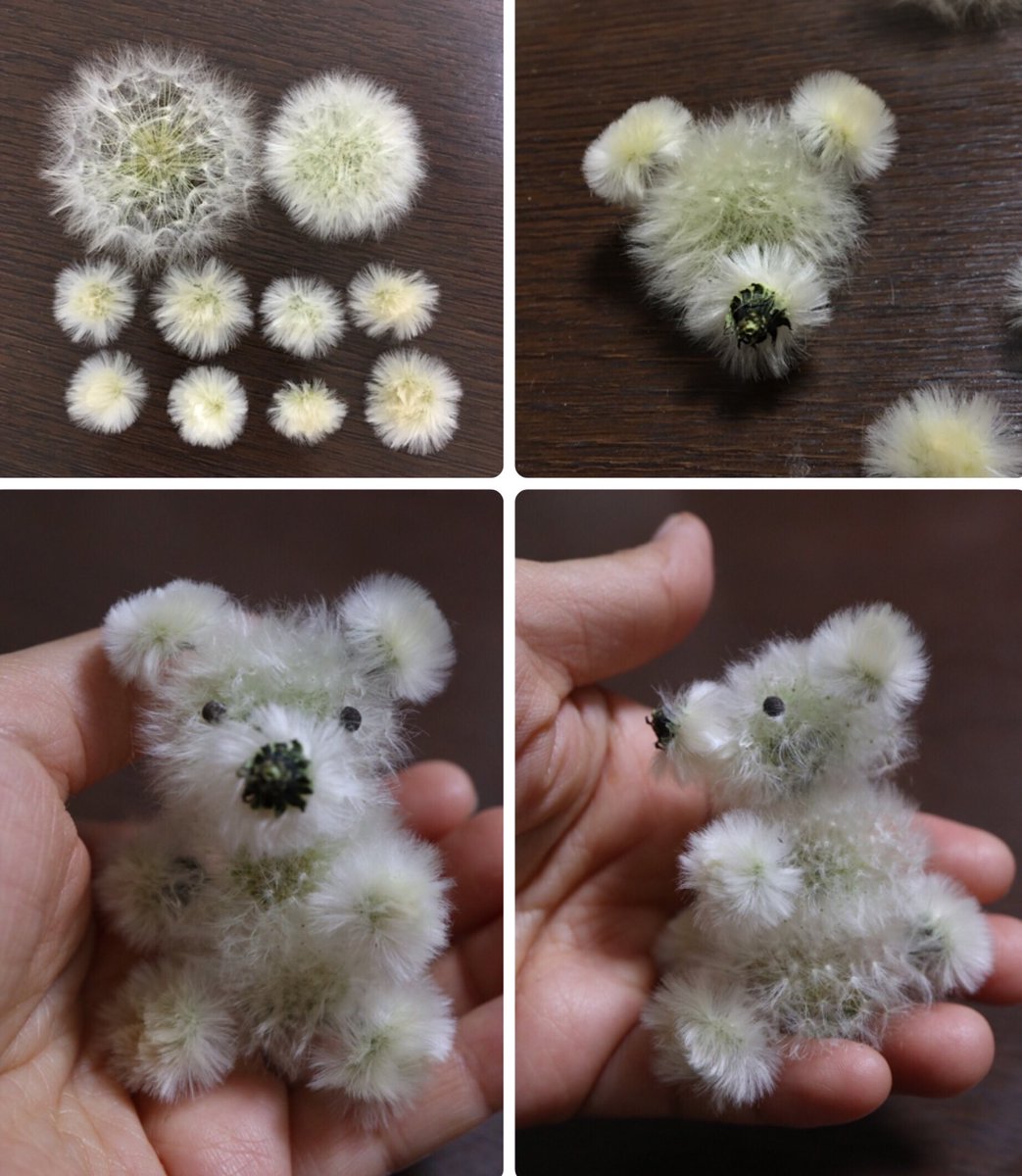 Inori ありがとうです 本にはタンポポの綿毛のドライフラワーのつくり方と綿毛の猫の作り方が載っています わからないことはなんでも聞いてください Inori ありがとうです 本にはタンポポの綿毛のドライフラワーのつくり方と綿毛の猫の作り方が載っています わからないことはなんでも聞いてください
