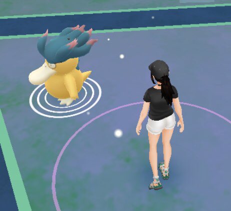 ポケモンgoはたまに面白い現象が起こる ポケモン同士が合体して 話題の画像プラス