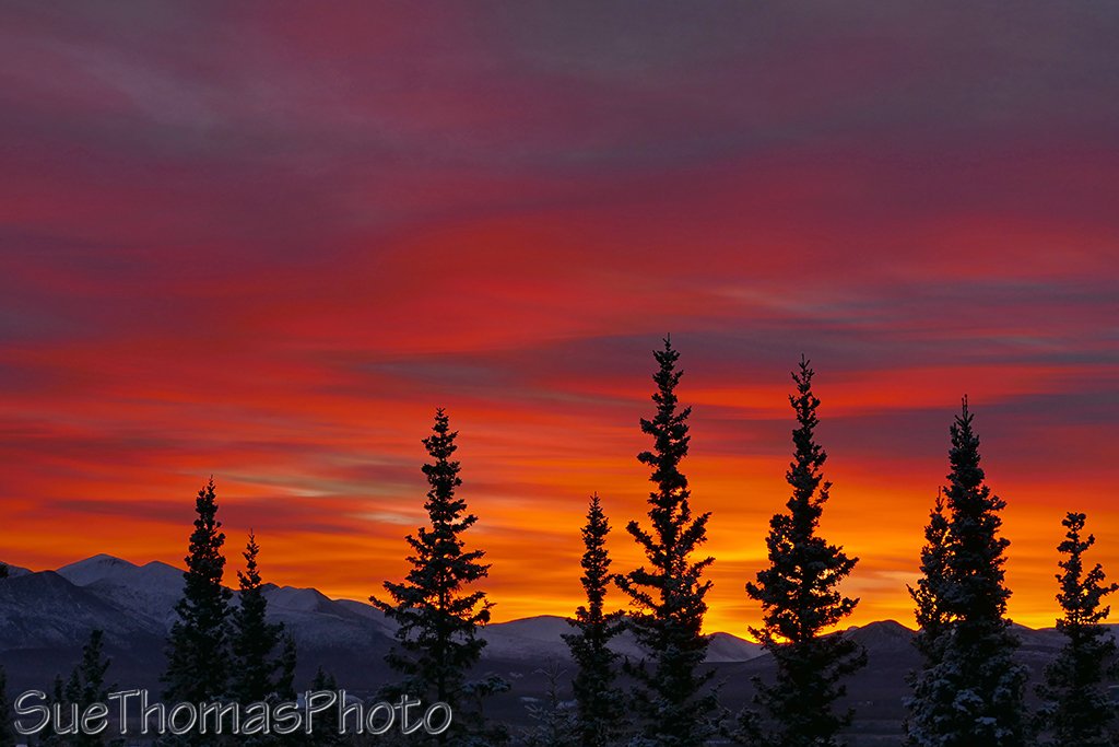 Brilliant sunrise over the Ibex Valley yesterday (Jan 12)