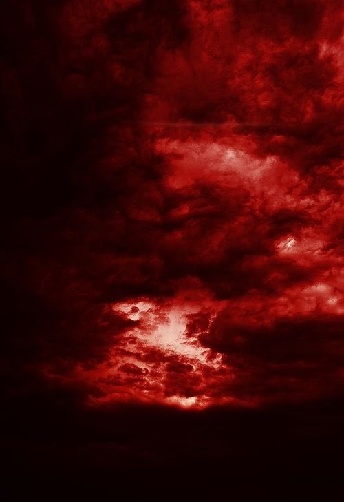 skiessluke's tweet image. 