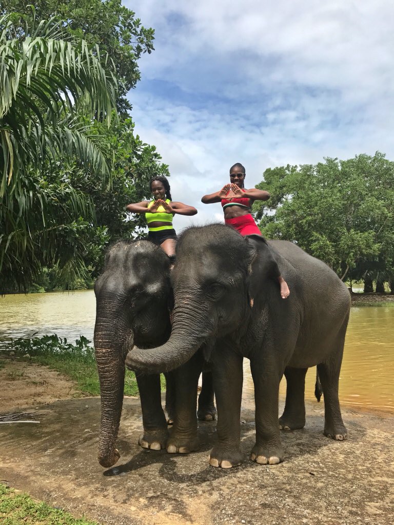 Cocoa517's tweet image. Happy Founders Day Sorors! 🐘❤️ #CAU #SigmaChapter #ProudToBe #DST