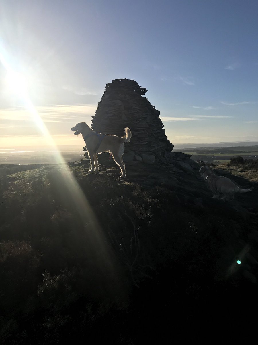 Clairebee26's tweet image. Scotland looking beautiful today ☀️ 
#runningdogs #canicross #cutedogsoftwitter