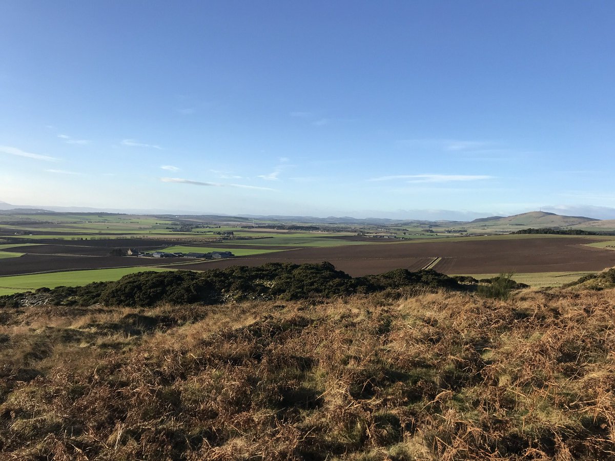 Clairebee26's tweet image. Scotland looking beautiful today ☀️ 
#runningdogs #canicross #cutedogsoftwitter