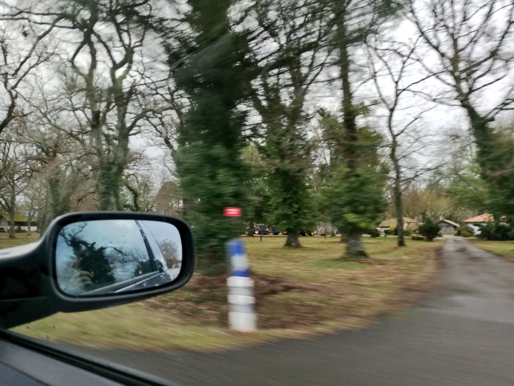 ErikaEtOdie's tweet photo. #PhotoRoad Dans les Landes https://t.co/NfugZJqNqp