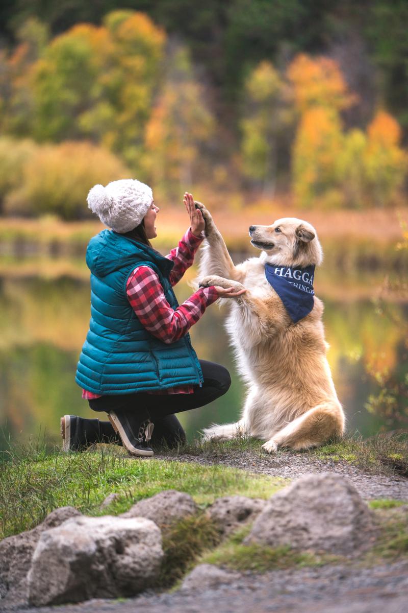 Haggar Clothing Co. (@HaggarCo) on Twitter photo 13/01/2019 16:00:19 Happy National Dog Walking Month! What kind of dog do you have? #NationalDogWalkingMonth šø @jazz.paws via Instagram Happy National Dog Walking Month! What kind of dog do you have? #NationalDogWalkingMonth šø @jazz.paws via Instagram