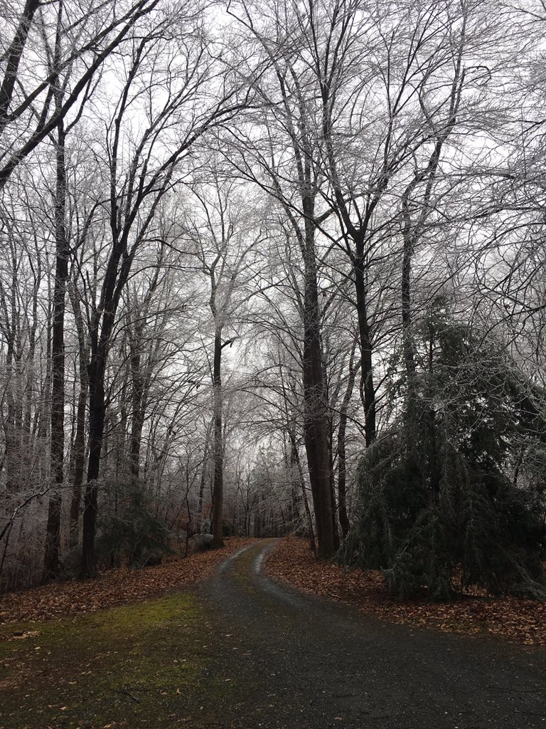 Icy morning in Vienna, NC