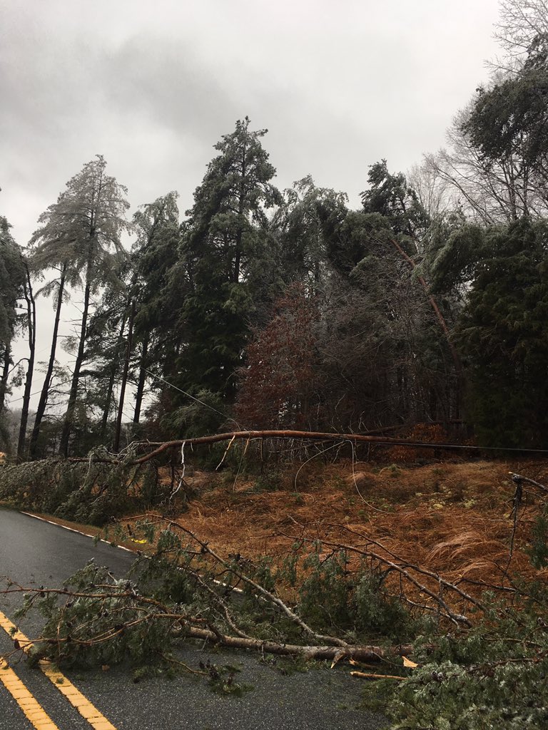 Trees down on River Ridge Rd