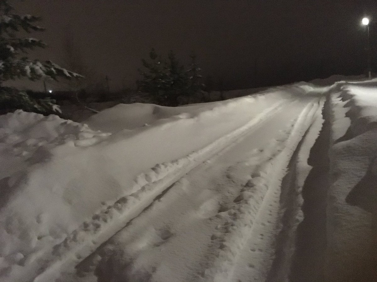 Лариса Андреева tweet media