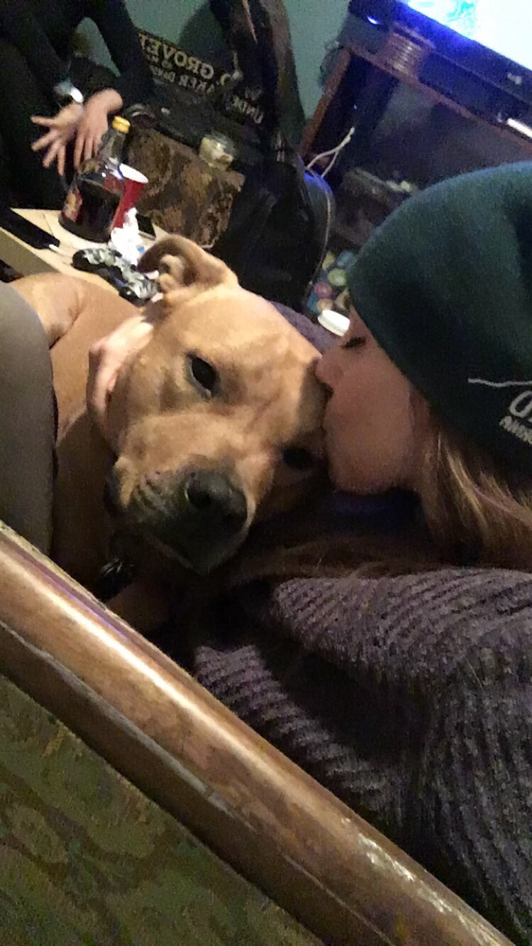 TW Pornstars - Ariel Rebel. Twitter. Cuddled with my favorite pit bull,  last night ❤️🥰. 4:25 PM - 13 Jan 2019