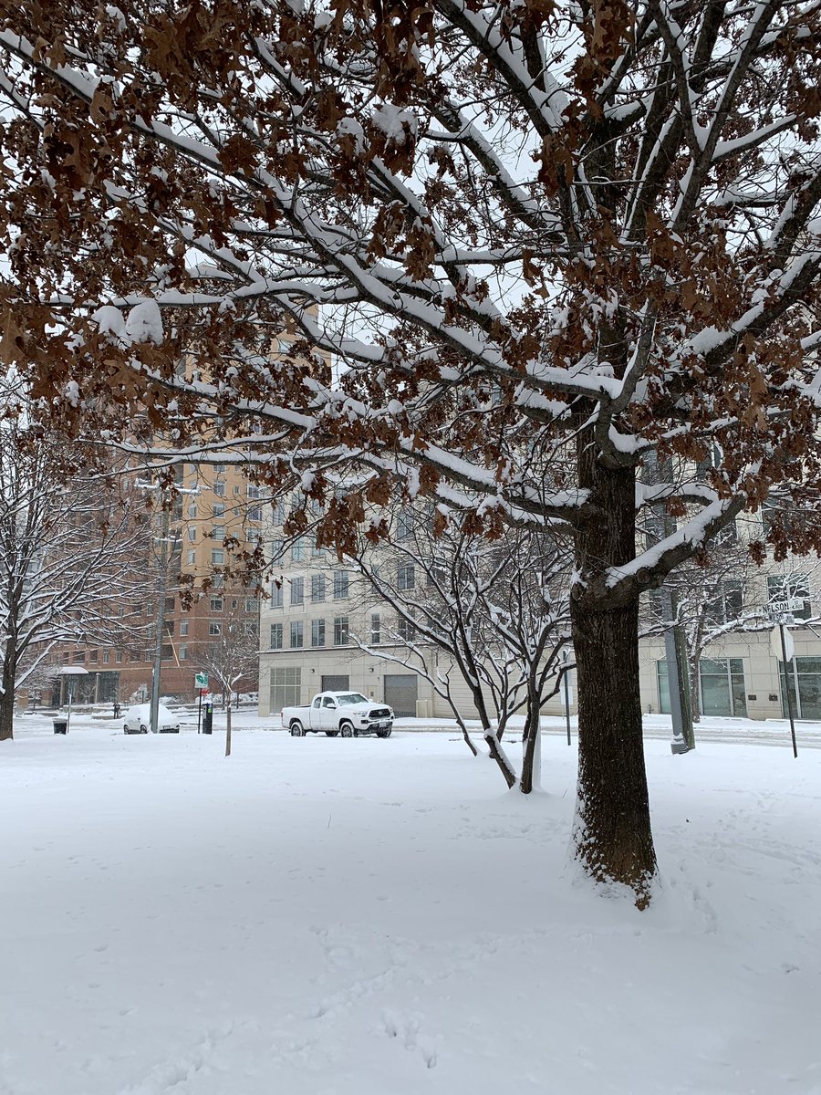 vero_colon's tweet photo. Snowy day in Arlington, VA #virginiasquare @capitalweather @wusa9 https://t.co/qGtFEx2ND1