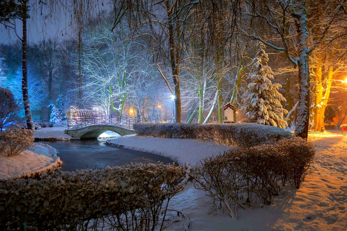 Good evening dear friends. ⛄️✨☕️ ❄️❄️❄️ Park in the winter. Photo by Krzysztof Tollas. #cityscape #Parkland