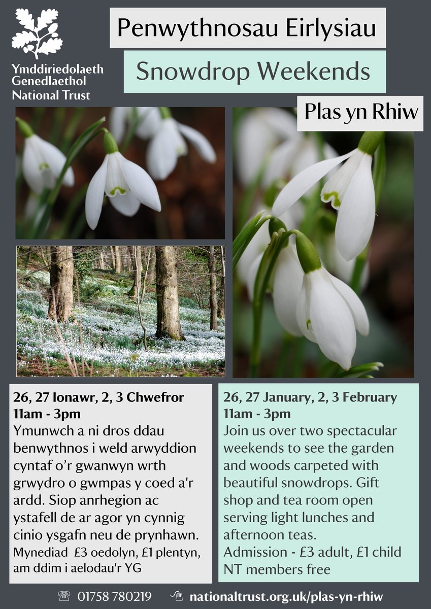 We’ll be opening Plas yn Rhiw's garden and tea-room on 26 and 27 of January and 2 and 3 of February so that everyone can enjoy this spectacular display of snowdrops.