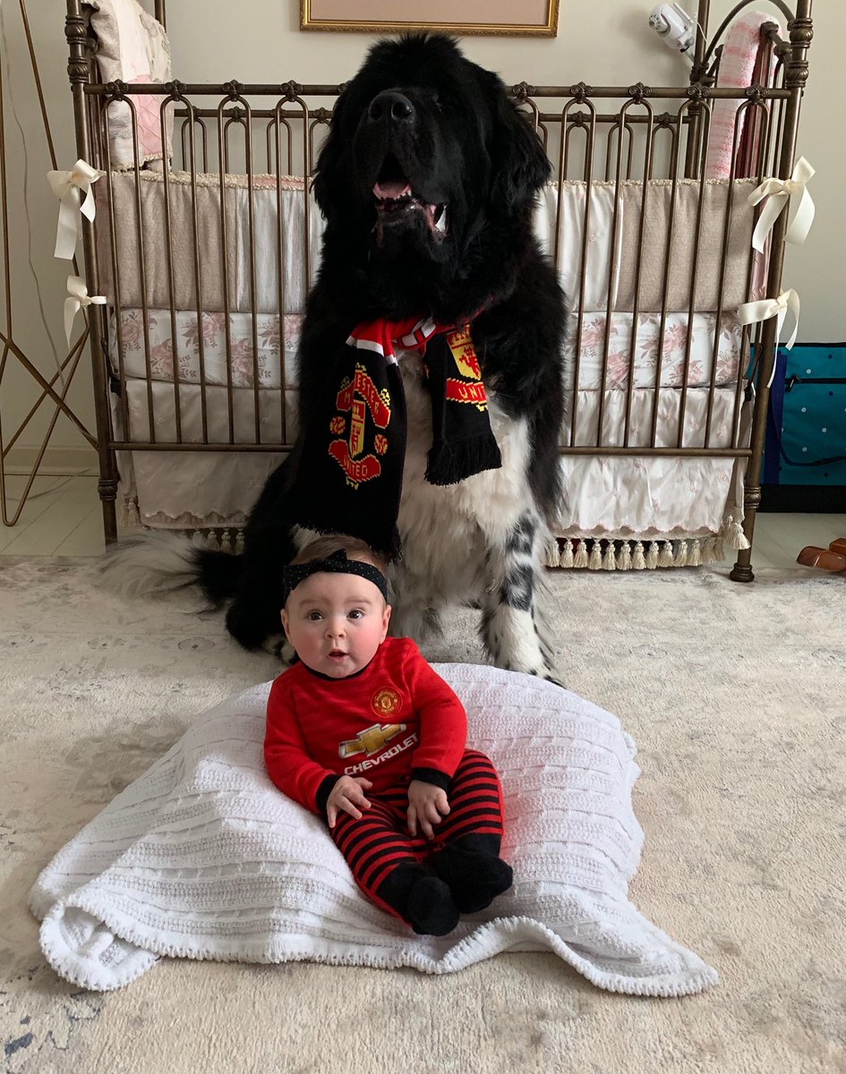 Wahid_dorany's tweet image. ManU fans, big and small, watching the game #MyPLMorning ⁦@NBCSportsSoccer⁩ ⁦@PLinUSA⁩ ⁦@premierleague⁩ ⁦@ManUtd⁩