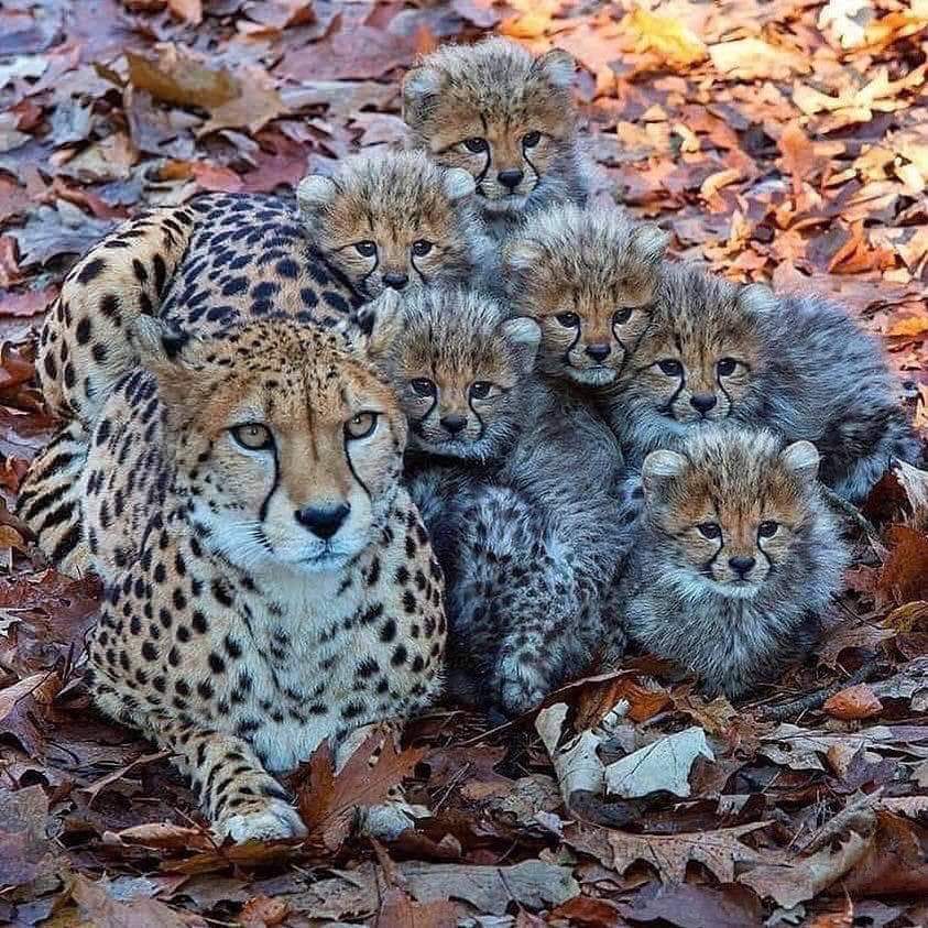 Family Photo   🧡