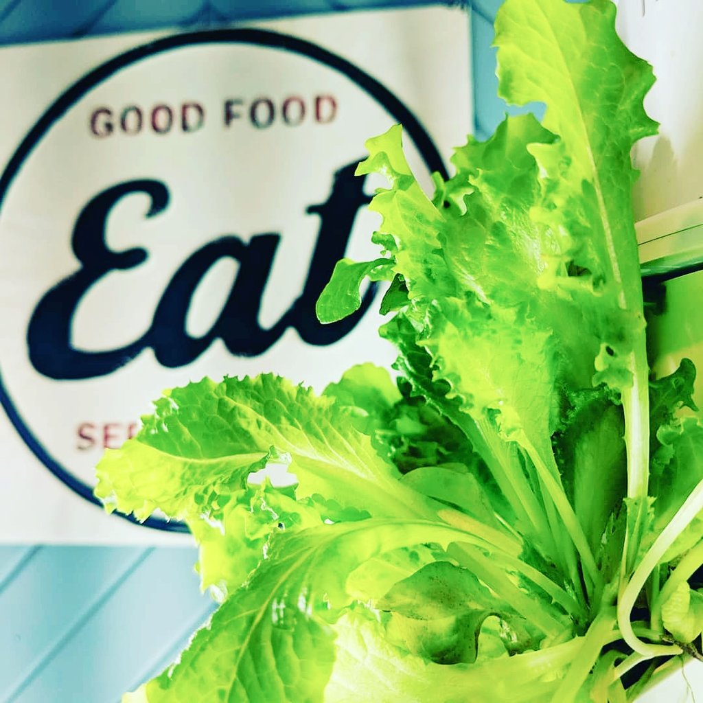 Did you know we plant our own veggies? All year round?
#regram <a href="/Joie_de_vive/">Genevieve Lila</a>