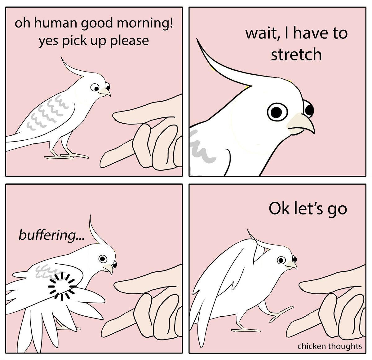 Featuring Alfred! https://t.co/9y91zUcYnN #birb 