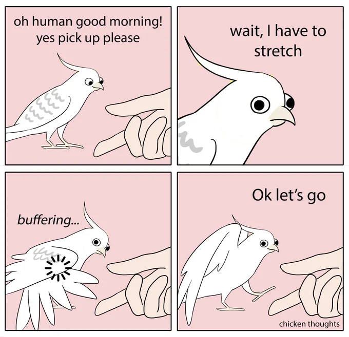 Featuring Alfred! https://t.co/9y91zUcYnN #birb 
