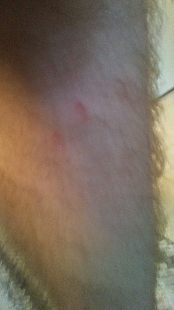 Jon Camarena (@jon_camarena) on Twitter photo 