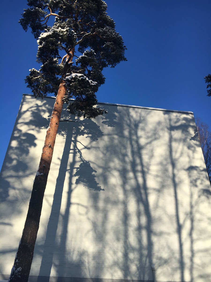 ilomaki_kaisu's tweet image. #reflections #positivereflections #howareyoureflected #howwouldyouliketobereflected #youseeyourselfinothers #doyouseegoodorbadthingsinothers #doyouseefailureorhumanity