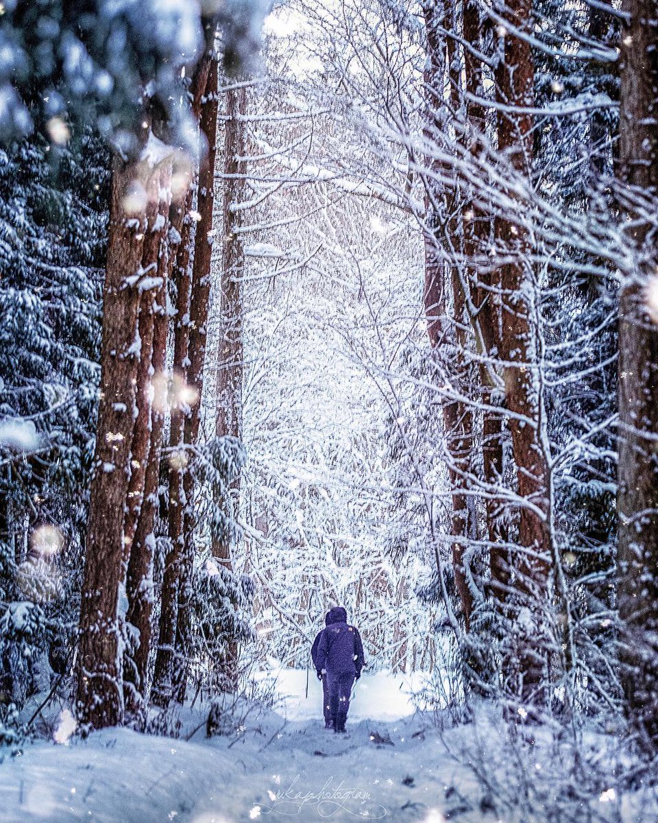 郡山市観光協会 公式 Ar Twitter 猪苗代湖のしぶき氷を見に行く道中 幻想的な雪景色だないっ 郡山市観光協会公式snsアンバサダーの投稿をご紹介 今回はyuka Photogram97さん Instagram 郡山市観光協会公式instagram T Co 郡山市観光協会 公式 Ar Twitter 猪苗代湖のしぶき氷を見に行く道中 幻想的な雪景色だないっ 郡山市観光協会公式snsアンバサダーの投稿をご紹介 今回はyuka Photogram97さん Instagram 郡山市観光協会公式instagram T Co