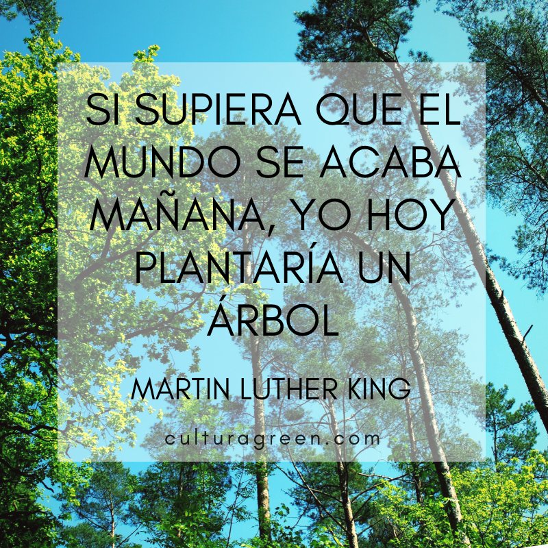 CulturaGreenRD's tweet photo. Y tu, que harías por nuestro Planeta?? #Ecofrase para reflexionar..🌎
#culturagreen #piensaverde #martinlutherking #greenliving https://t.co/tcbfJixm8P