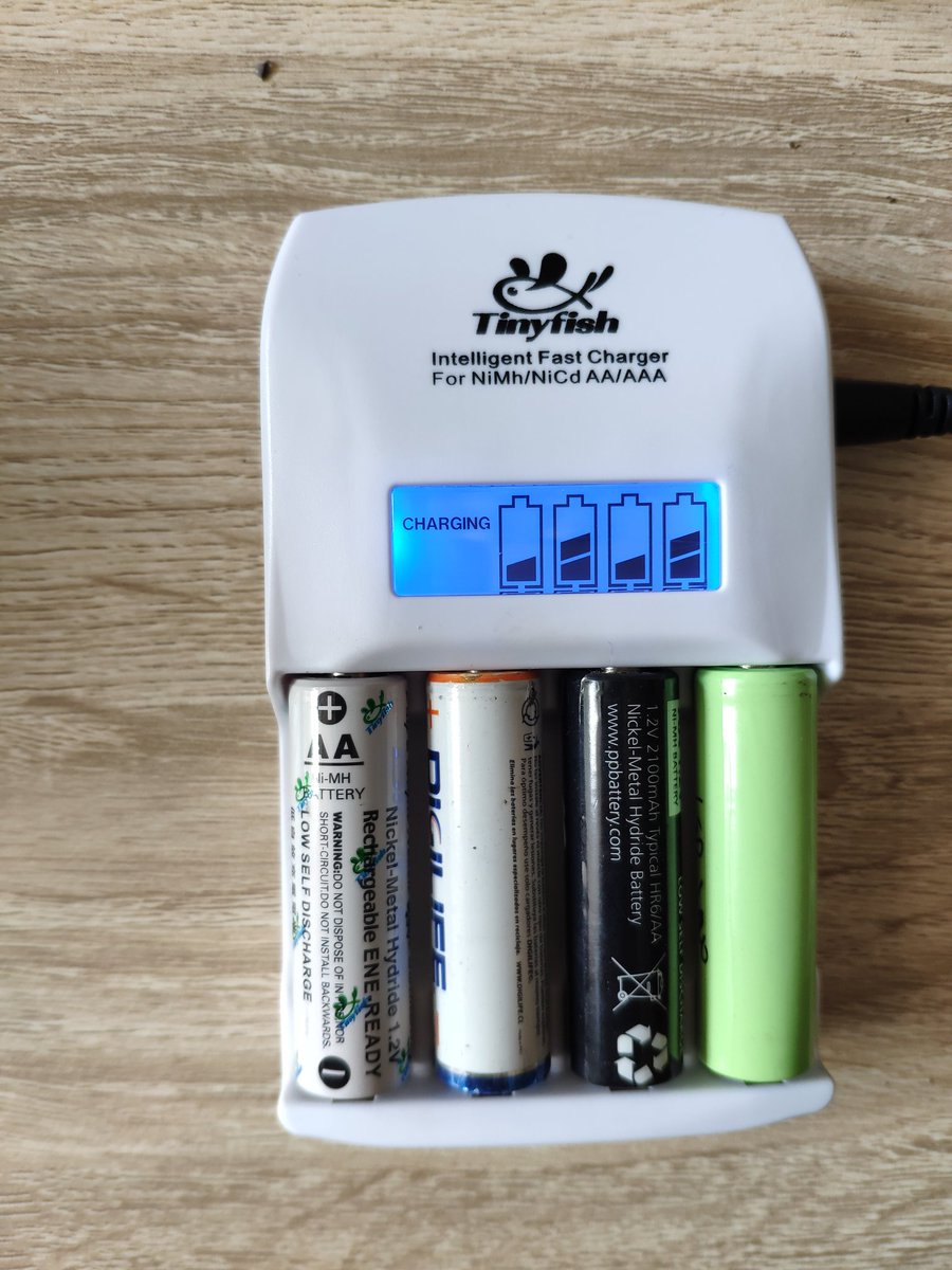 tinyfishpp's tweet image. 