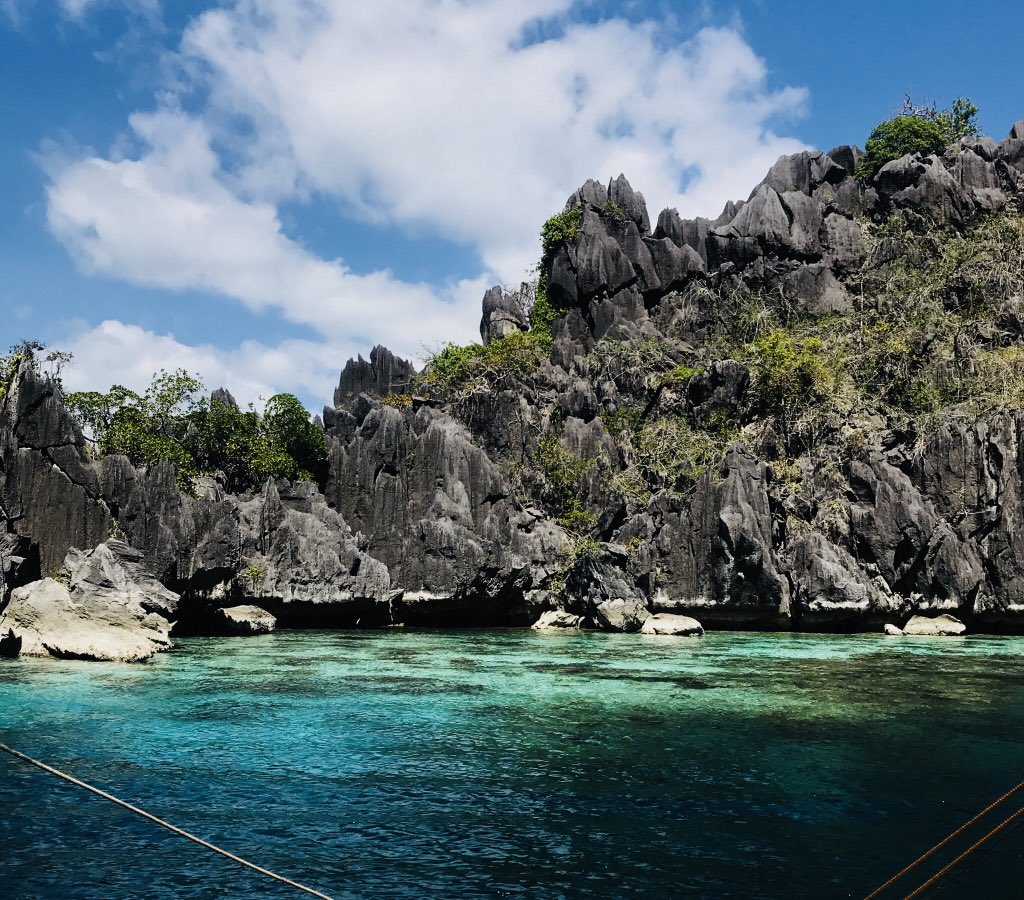 AgasNikki03's tweet photo. Love at first sight 💙
#CoronPalawan https://t.co/e63nxsYvjZ