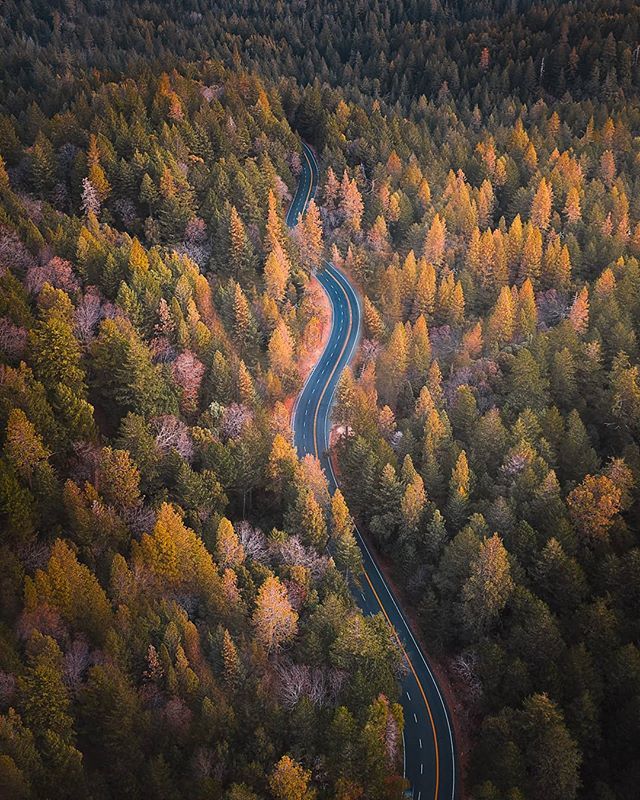 RichExploration's tweet photo. Weekend strolls in the woods 🌲🍃
.
.
.
#optoutside #theoutbound #stayandwander #folkgood #artofvisuals #ourplanetdaily #exploretocreate #peoplescreative #folksouls #roamtheplanet #wildernessculture #discoverearth #ourplanetdaily #earthpix10k #earthoff… https://t.co/15Hh13mVoa https://t.co/G2VNhaonrj