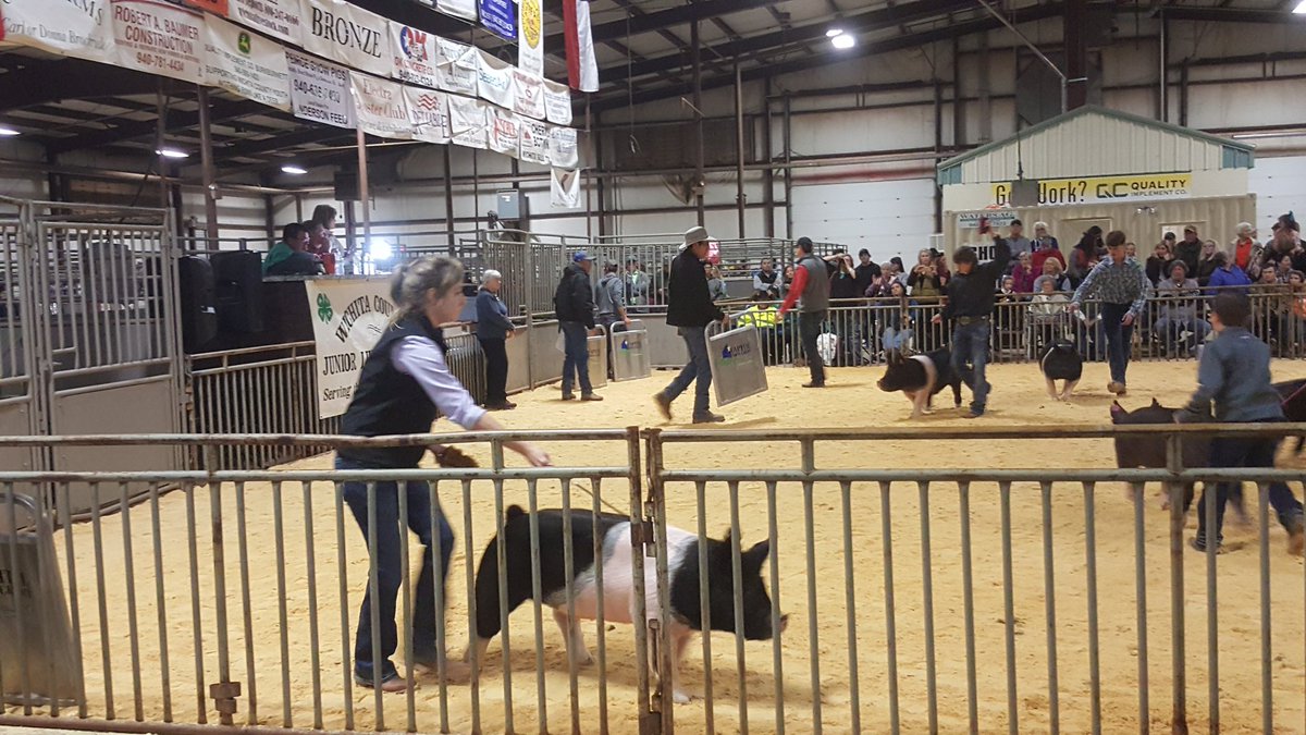 BreeKeese's tweet image. Ugh I can't wait to take these pretty girls to Fort Worth and Kerville😍 #bannerchasin