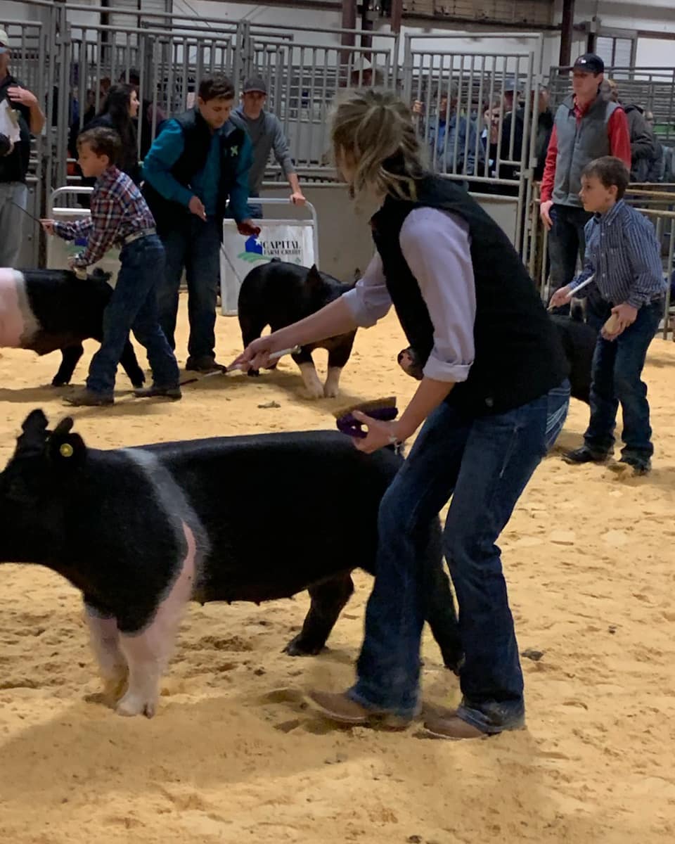BreeKeese's tweet image. Ugh I can't wait to take these pretty girls to Fort Worth and Kerville😍 #bannerchasin