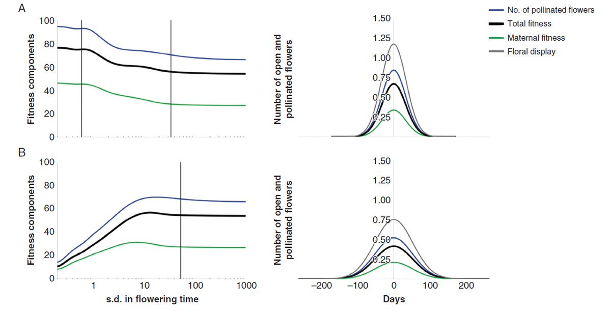 PollinatorCons's tweet photo. Evolution of plant mating systems drives pollen limitation. Fascinating new paper in Annals of Botany by Devaux, Porcher, and Lande.
FREE PDF https://t.co/ohfFa07SSd
#selfing #evolution #pollenlimitation #botanyone #annbot #pollination https://t.co/NtLN8iOHm4