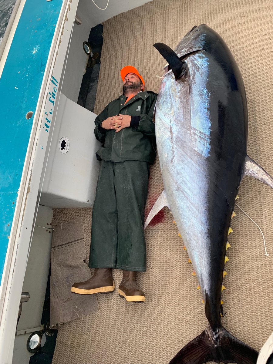 ChartersShell's tweet image. Another successful day happy happy