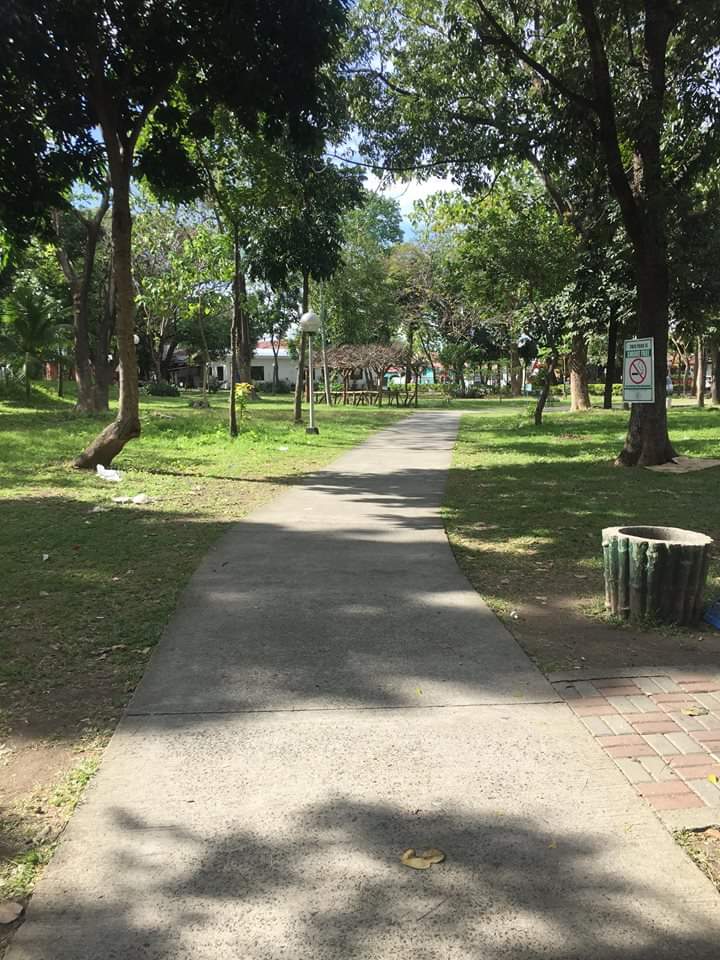 dhen006's tweet photo. Walking na may kasamang jogging for 2 hrs
Balik alindog Program https://t.co/bmGS3lNktM