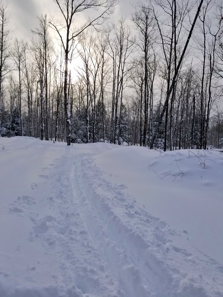 UPTreefarmer's tweet photo. After skiing Mud Lake, we headed for the Ruby Marsh #MaastoHiihto #ChurningRapids #KNSC #RetroSki #Hancock #Keweenaw #upperpeninsula #PureMichigan #crosscountryski #xcski #backcountry #subzero #wluctv6 https://t.co/LCa8y9dgp8