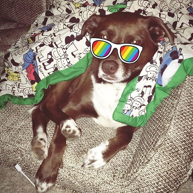 fruitiontweets's tweet photo. 🌈 I get my best advice from #jade https://t.co/65iTR1oqih https://t.co/QNqmbr9tMw