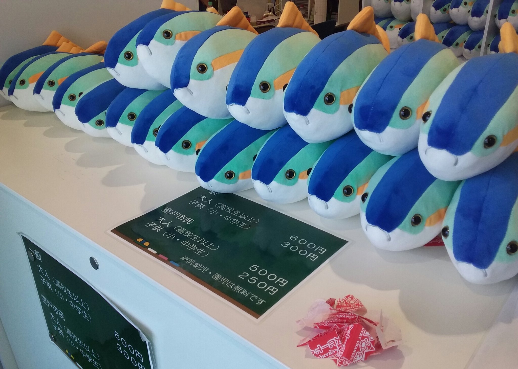 ぬいぐるみくじ むろと廃校水族館 ぶりくじ、サバくじ