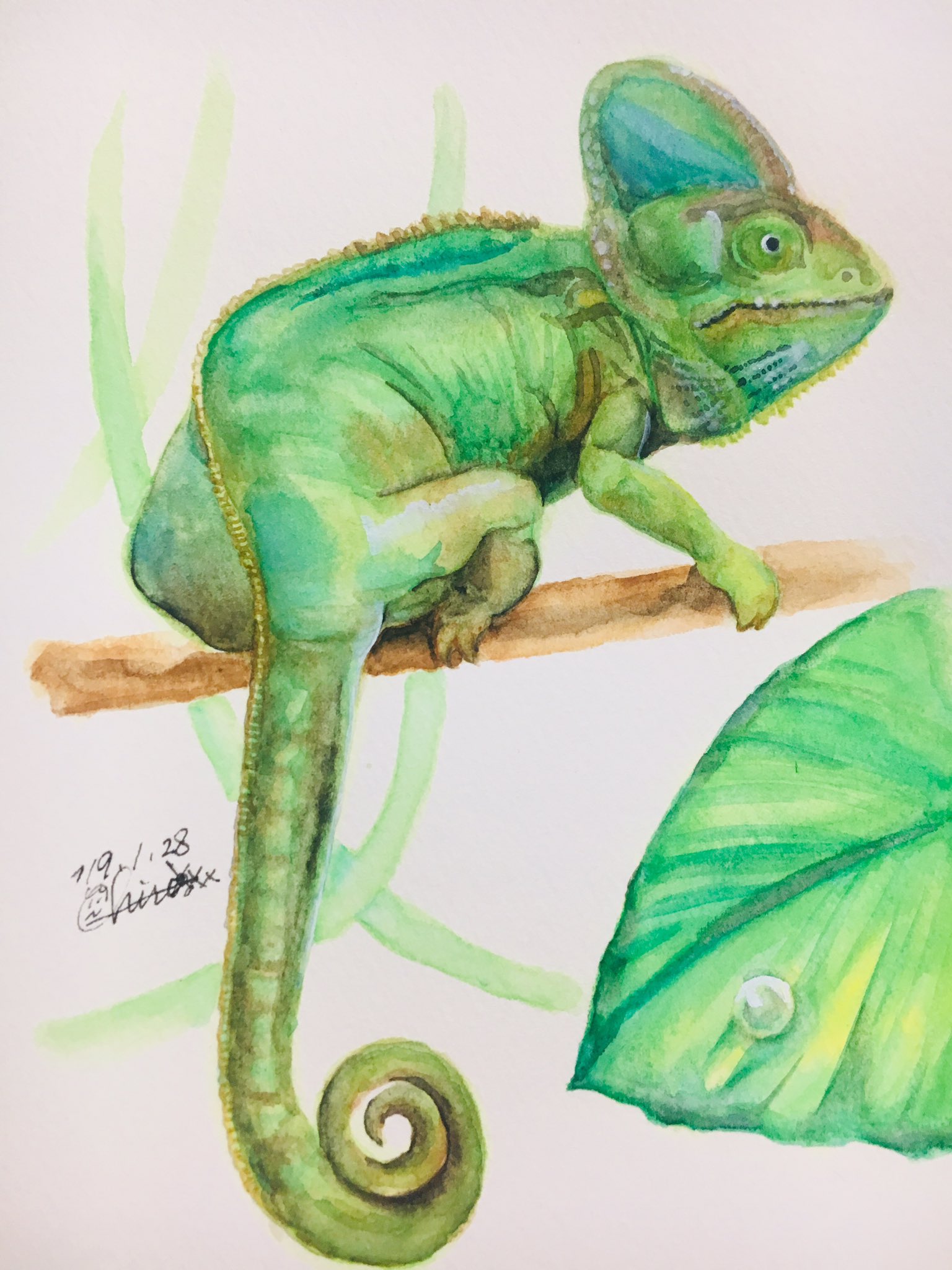 O Xrhsths ちろ Sto Twitter カメレオンʕ ʔ 透明水彩 Watercolor Art Illustration 絵描きさんとつながりたい 絵描きの輪 イラスト基地 イラスト置き場 イラスト完成 可愛いコ見つけたから描く はちゅすたぐらむ Chameleon Chameleons Of Instagram