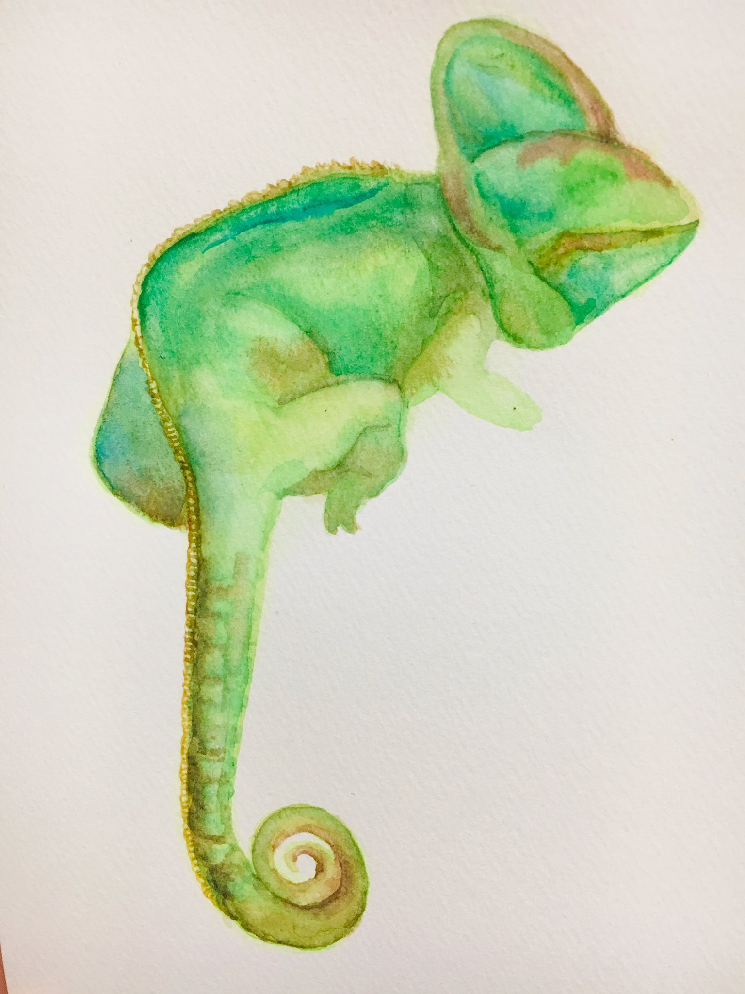 O Xrhsths ちろ Sto Twitter カメレオンʕ ʔ 透明水彩 Watercolor Art Illustration 絵描きさんとつながりたい 絵描きの輪 イラスト基地 イラスト置き場 イラスト完成 可愛いコ見つけたから描く はちゅすたぐらむ Chameleon Chameleons Of Instagram